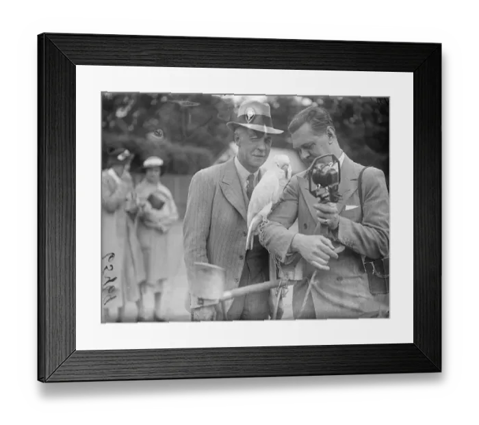 Framed Print : Cockatoo needed coaxing. Zoo broadcast. Under the persuasion of Uncle Mac