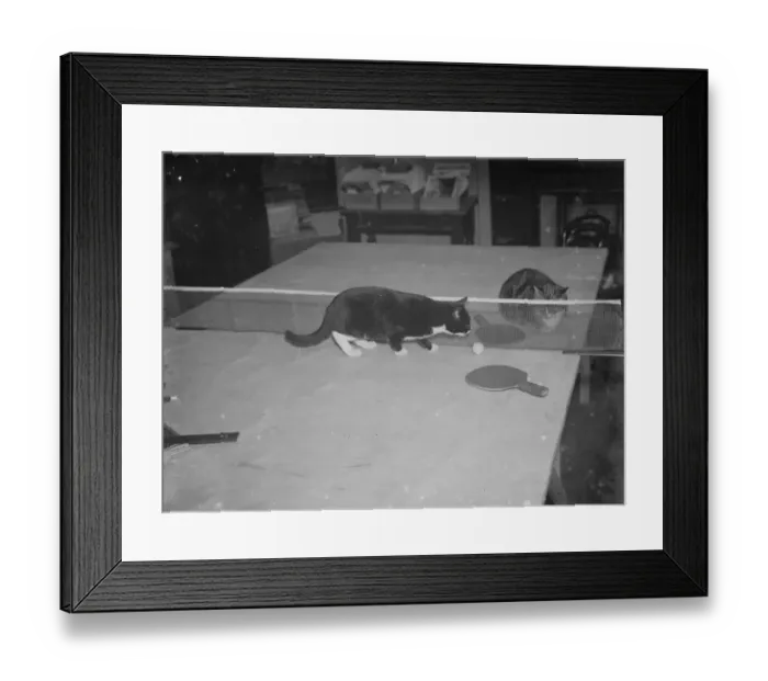 Framed Print : Minnie and Parson play ping pong. 1935