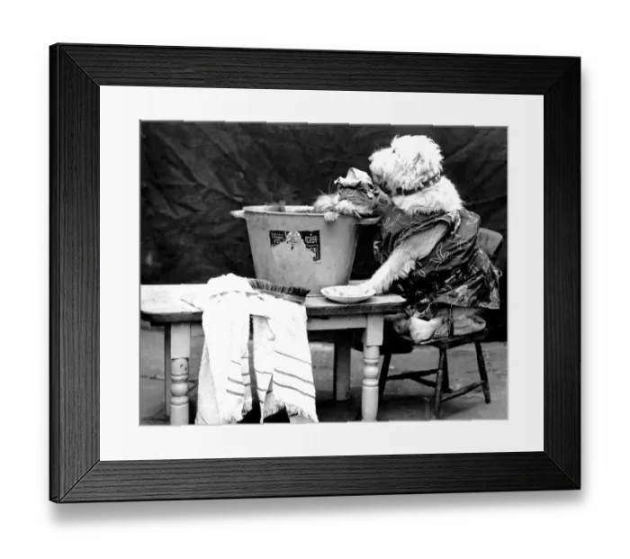 Framed Print : Dog in overalls is washing a cat in a bucket