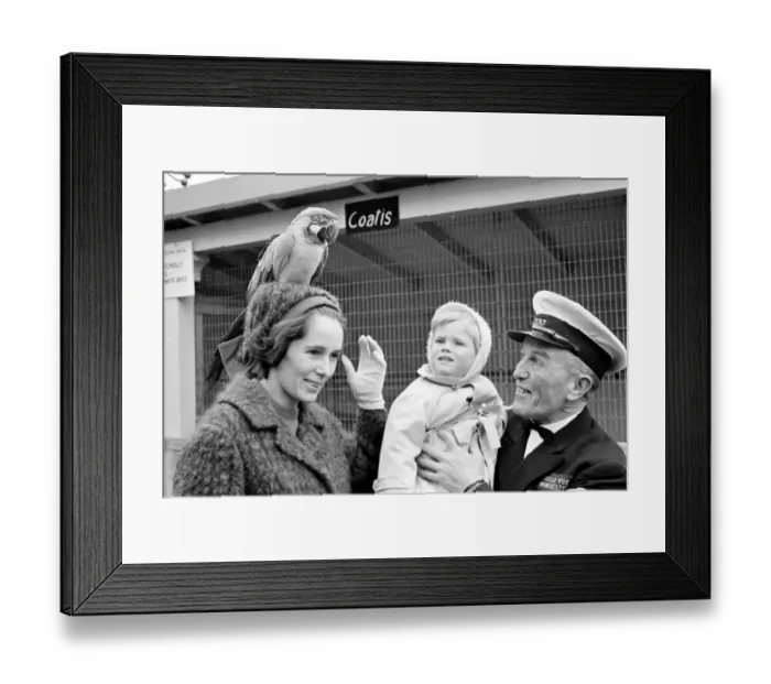 Framed Print : Pretty Polly got into the political limelight when a very young Churchill took a Framed Print : Pretty Polly got into the political limelight when a very young Churchill took a