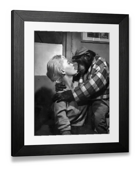 Framed Print : Berlin, Germany. The Circus Krone comes to Berlin for the first time for 17 years Framed Print : Berlin, Germany. The Circus Krone comes to Berlin for the first time for 17 years