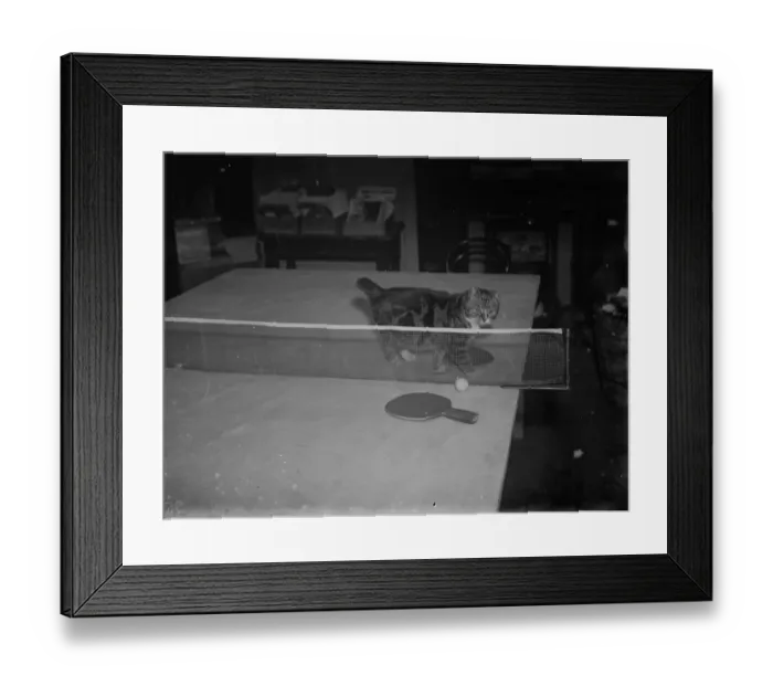 Framed Print : Minnie and Parson play ping pong. 1935 Framed Print : Minnie and Parson play ping pong. 1935