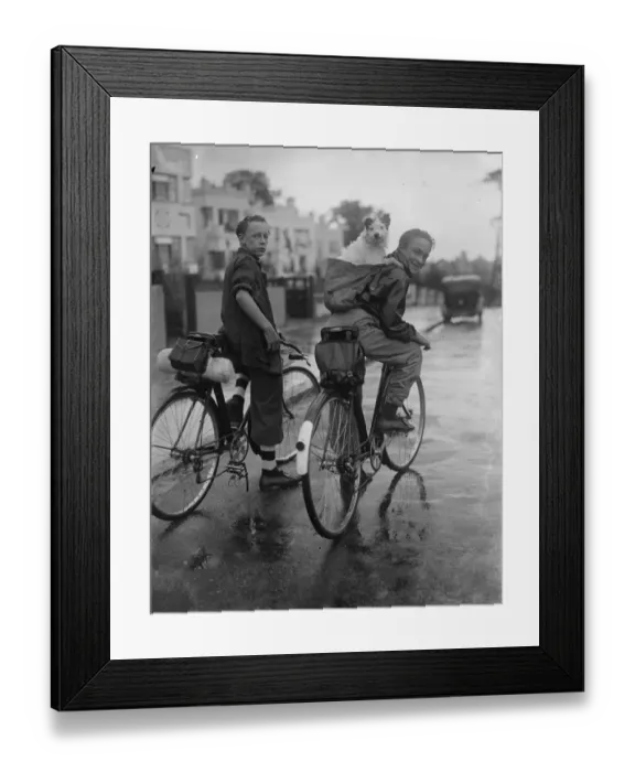 Framed Print : Have dog, will travel. A boy riding a bike with a dog on his back in a rucksack Framed Print : Have dog, will travel. A boy riding a bike with a dog on his back in a rucksack
