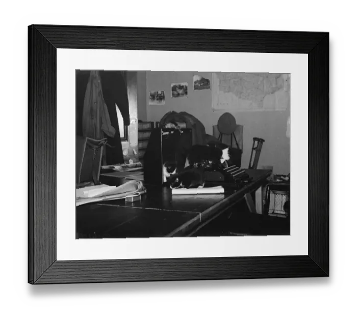 Framed Print : Kittens on a typewriter in an office. 1937 Framed Print : Kittens on a typewriter in an office. 1937