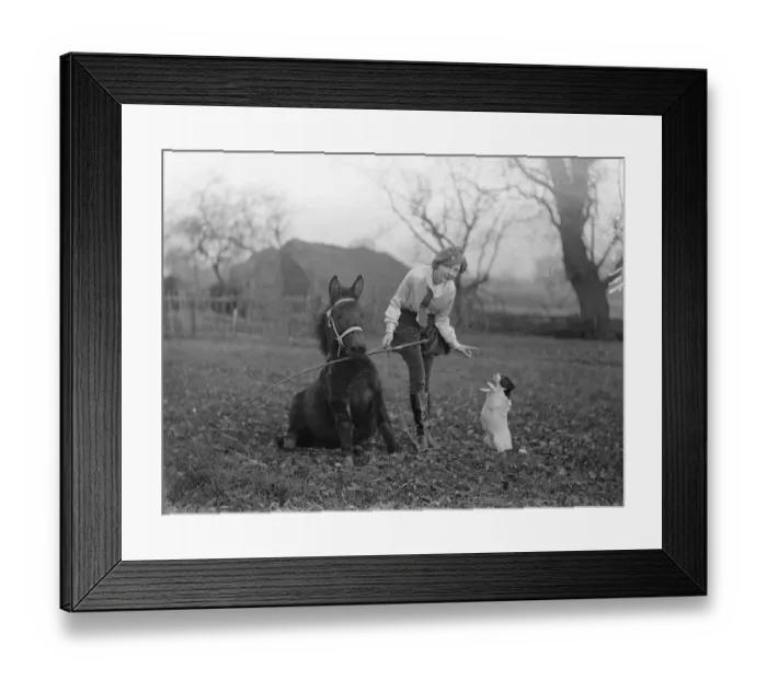 Framed Print : 16-year-old girl animal trainer, prepares new acts for Christmas. 16-year-old Olga Astley Framed Print : 16-year-old girl animal trainer, prepares new acts for Christmas. 16-year-old Olga Astley