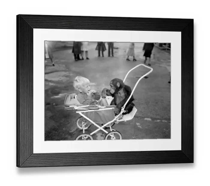 Framed Print : Fair haired, 2 year old Roger Sayers is usually a little wary of sharing his 4 wheeler Framed Print : Fair haired, 2 year old Roger Sayers is usually a little wary of sharing his 4 wheeler
