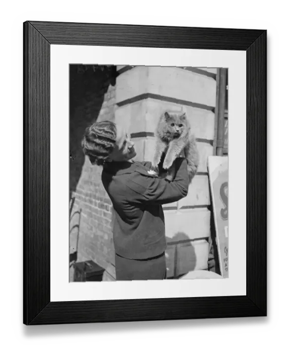 Framed Print : Miss Nan Parsons with Mrs Kings Blue Persians student Prince. Young aristocrats