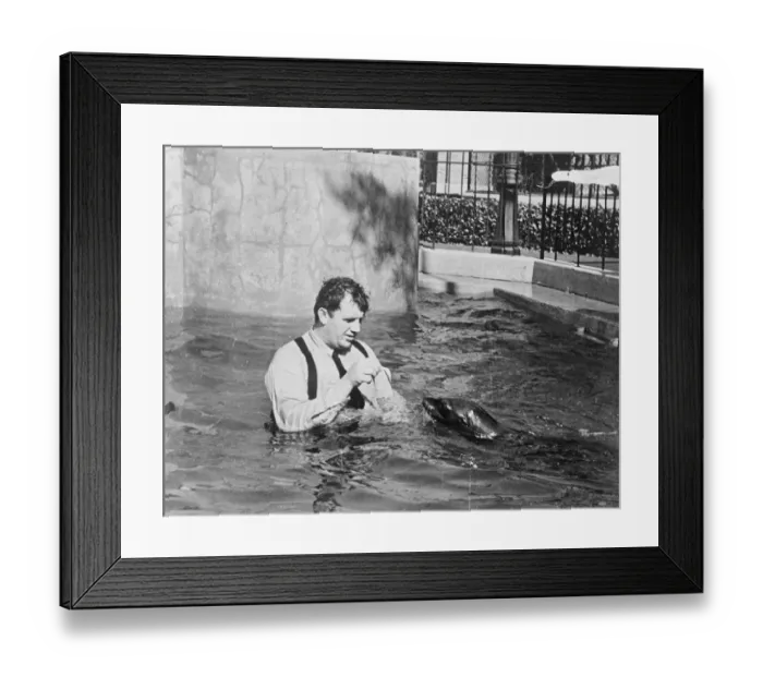 Framed Print : All in the cause of art!. To ask the normal man to plunge into a chilly pool in his Framed Print : All in the cause of art!. To ask the normal man to plunge into a chilly pool in his