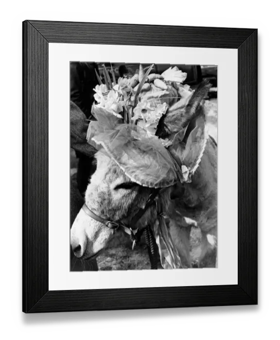 Framed Print : Easter Parade in Battersea Park. Londoners turned out in force in the warm sunshine Framed Print : Easter Parade in Battersea Park. Londoners turned out in force in the warm sunshine