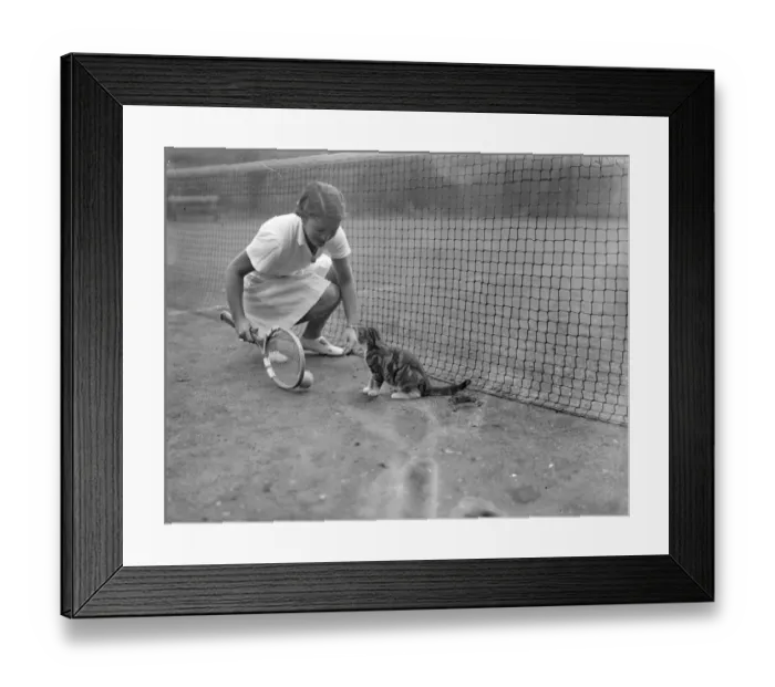 Framed Print : Cat with tennis ambitions chased Senorita Lizanas ball. Senorita Anita Lizana