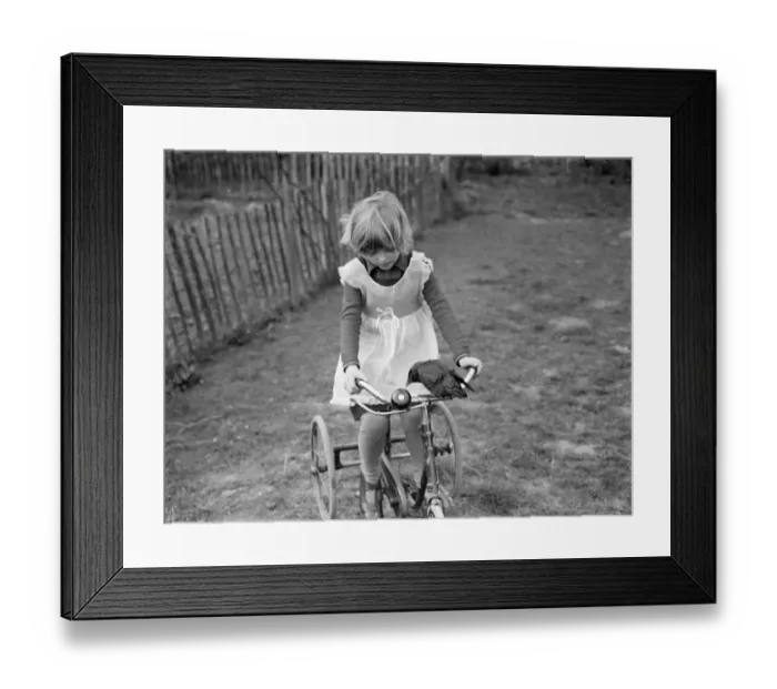 Framed Print : Little Ann Bowers playing on her tricycle with her tame jackdaw ringing the bell