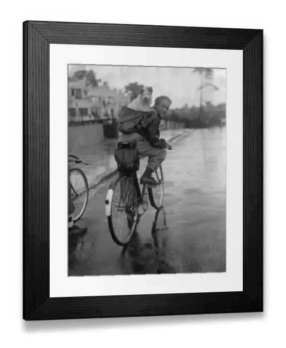 Framed Print : Have dog, will travel. A boy riding a bike with his dog on his back in a rucksack Framed Print : Have dog, will travel. A boy riding a bike with his dog on his back in a rucksack