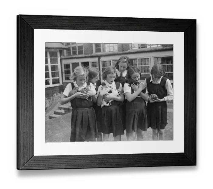 Framed Print : Schoolgirls with their pets at school. 1939 Framed Print : Schoolgirls with their pets at school. 1939