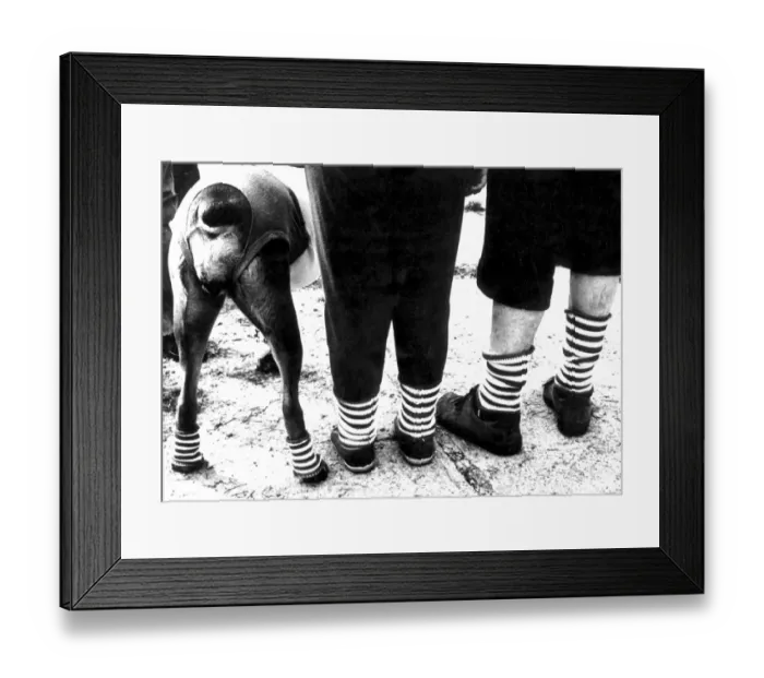 Framed Print : and all dressed in the same anklets, - thats not a daily sight! Here it seems