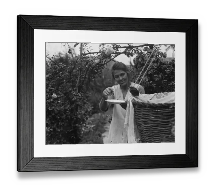 Framed Print : Mrs White and a friendly thrush. 1936