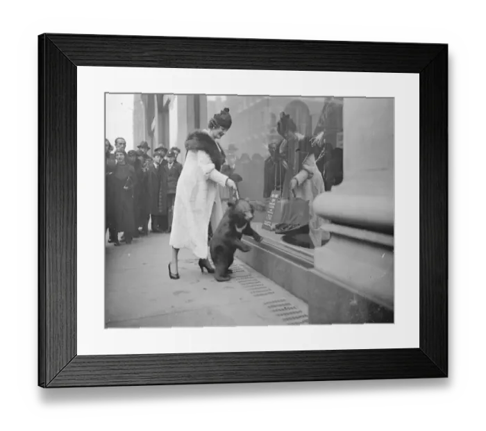 Framed Print : Bear goes shopping in Oxford Street. 16 November 1934 Framed Print : Bear goes shopping in Oxford Street. 16 November 1934