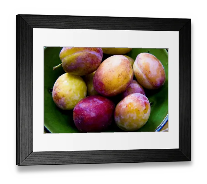 Framed Print : Green pottery bowl of freshly gathered Victoria plums credit: Marie-Louise Avery