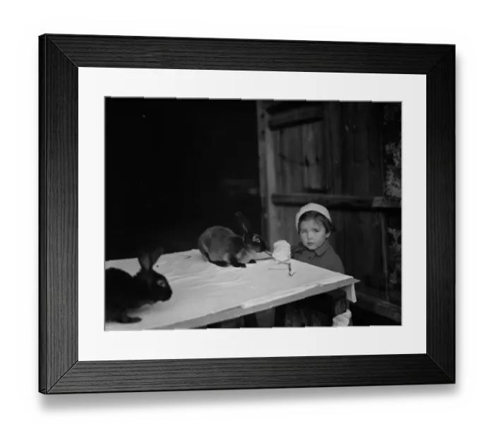 Framed Print : A little girl looks at the rabbits. 1937 Framed Print : A little girl looks at the rabbits. 1937