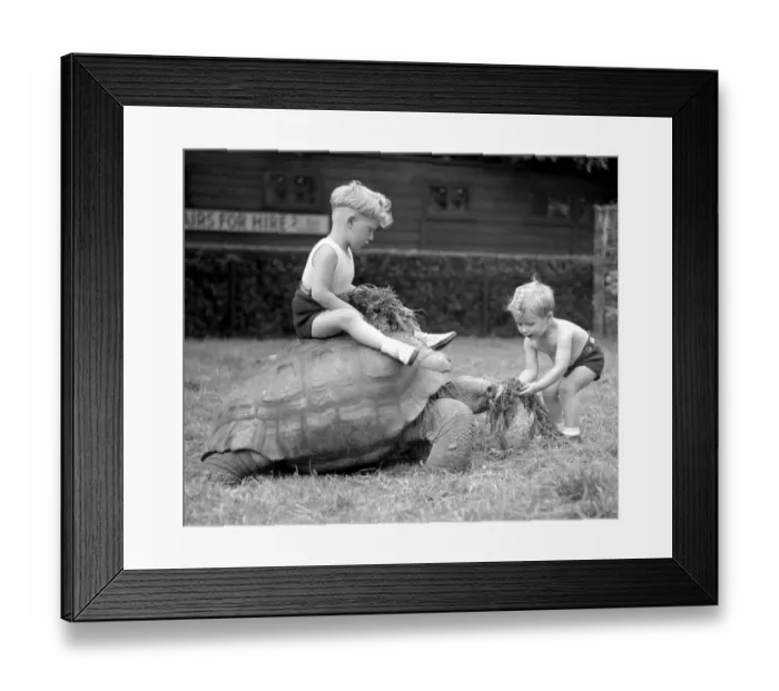 Framed Print : Slow But Sure The time honoured saying The Way To A Mans Heart Framed Print : Slow But Sure The time honoured saying The Way To A Mans Heart