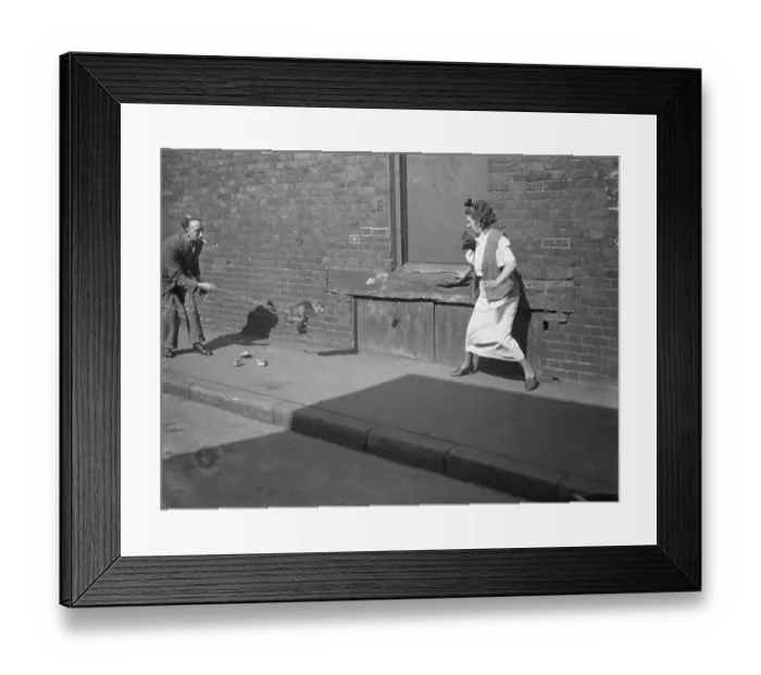 Framed Print : Monkey with passionate hatred of women. But she likes men. With a fierce southern temper Framed Print : Monkey with passionate hatred of women. But she likes men. With a fierce southern temper