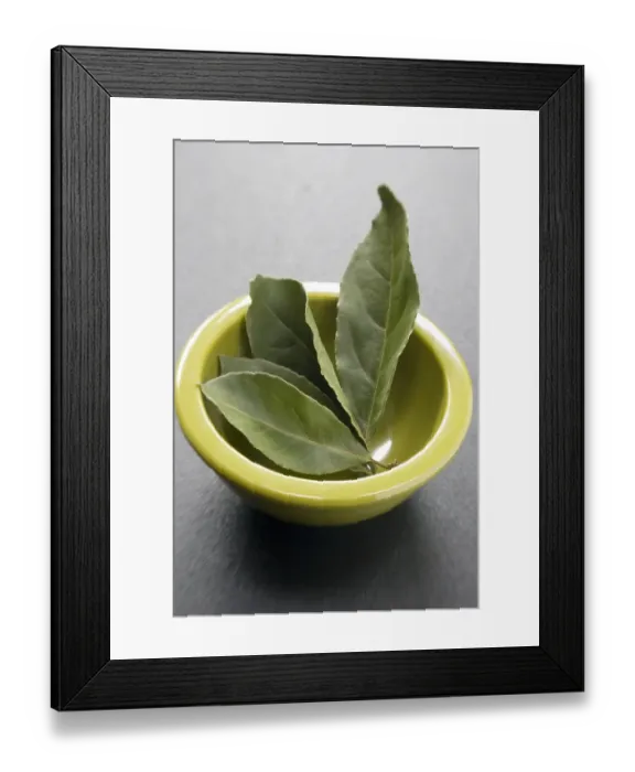 Framed Print : Bay leaves with small bowl on a dark plastic surface. Bay leaf (Greek Daphni, Romanian Framed Print : Bay leaves with small bowl on a dark plastic surface. Bay leaf (Greek Daphni, Romanian