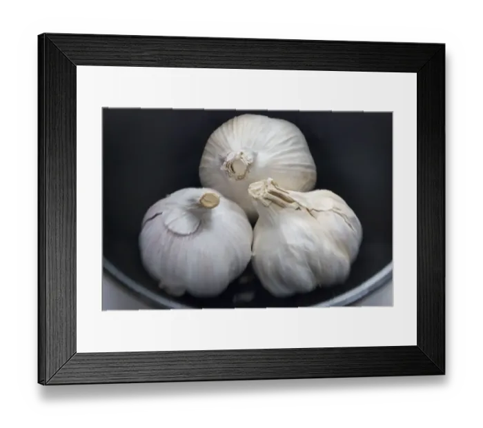 Framed Print : Three whole bulbs of garlic in black bowl credit: Marie-Louise Avery  /  thePictureKitchen