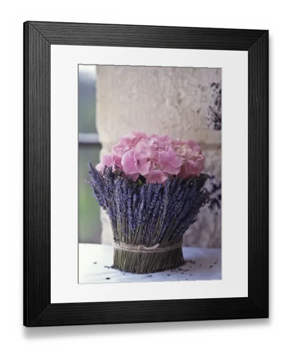 Framed Print : Flower arrangement of pink hydrangeas surrounded by lavender stems held onto pot Framed Print : Flower arrangement of pink hydrangeas surrounded by lavender stems held onto pot