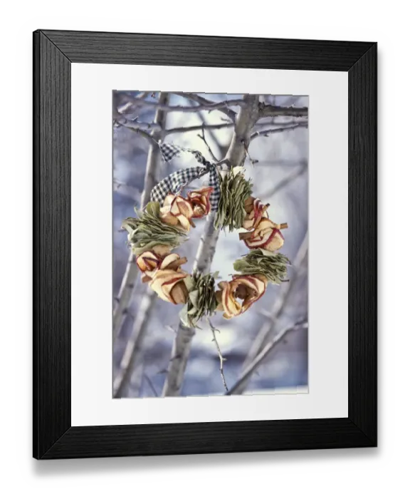 Framed Print : Winter wreath of dried apples and bay leaves and gingham ribbon, hanging outside Framed Print : Winter wreath of dried apples and bay leaves and gingham ribbon, hanging outside