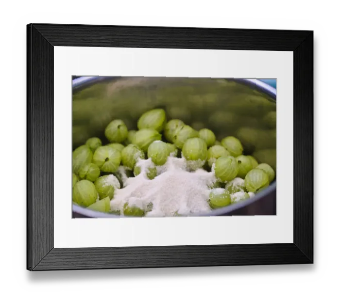 Framed Print : Preparing fresh homegrown gooseberries for cooking credit: Marie-Louise Avery / Framed Print : Preparing fresh homegrown gooseberries for cooking credit: Marie-Louise Avery /