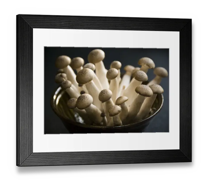 Framed Print : Exotic cultivated mushrooms - Brown Clamshell credit: Marie-Louise Avery / thePictureKitchen Framed Print : Exotic cultivated mushrooms - Brown Clamshell credit: Marie-Louise Avery / thePictureKitchen