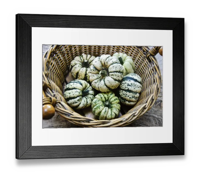 Framed Print : Large basket of decorative gourds credit: Marie-Louise Avery / thePictureKitchen Framed Print : Large basket of decorative gourds credit: Marie-Louise Avery / thePictureKitchen