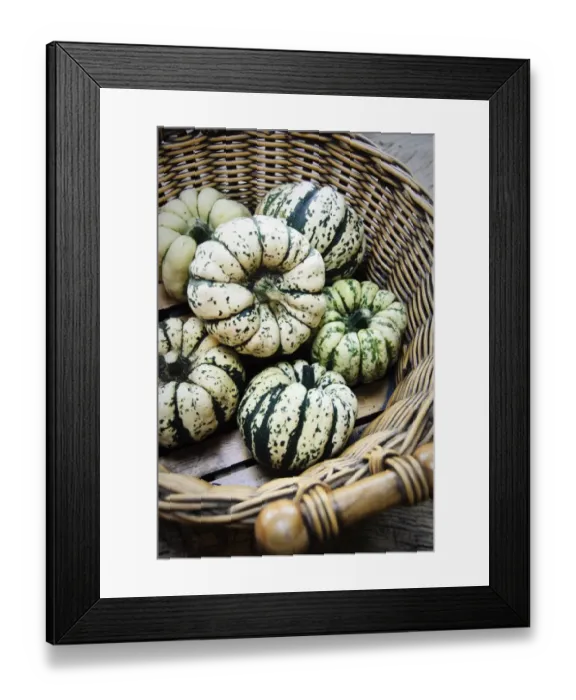 Framed Print : Large basket of decorative gourds credit: Marie-Louise Avery / thePictureKitchen Framed Print : Large basket of decorative gourds credit: Marie-Louise Avery / thePictureKitchen