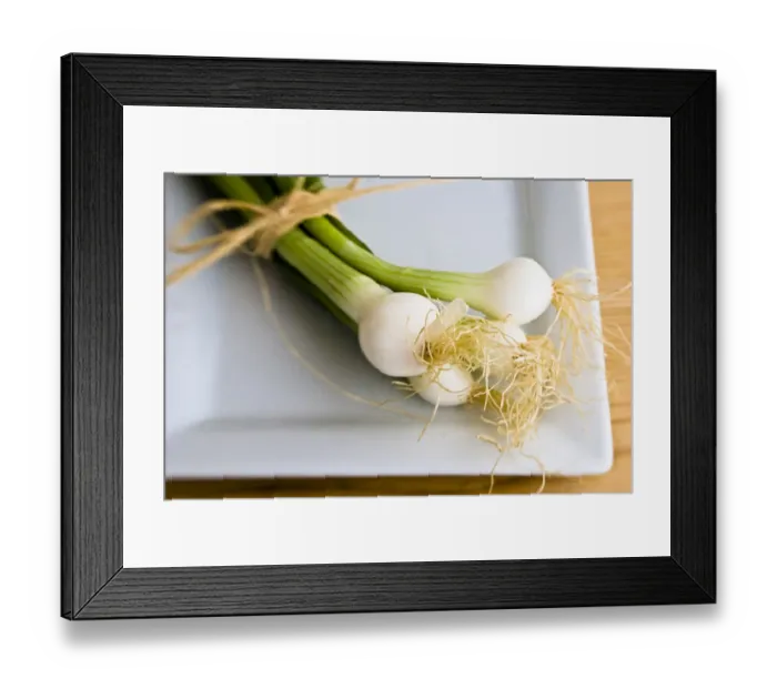 Framed Print : Small bindle of fresh salad onions on white plate credit: Marie-Louise Avery / Framed Print : Small bindle of fresh salad onions on white plate credit: Marie-Louise Avery /