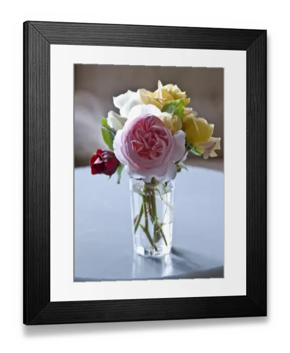 Framed Print : Bunch of garden roses tied with raffia in clear glass on painted table indoors credit Framed Print : Bunch of garden roses tied with raffia in clear glass on painted table indoors credit