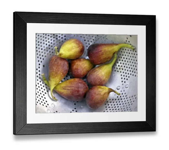 Framed Print : Figs draining in old aluminium colander credit: Marie-Louise Avery / thePictureKitchen Framed Print : Figs draining in old aluminium colander credit: Marie-Louise Avery / thePictureKitchen