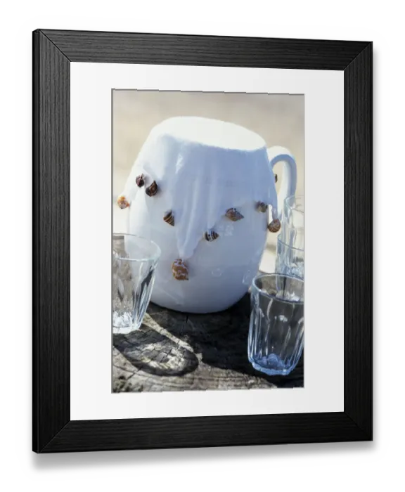 Framed Print : White jug with white fabric cover weighted with sea shells to keep insects out. credit Framed Print : White jug with white fabric cover weighted with sea shells to keep insects out. credit