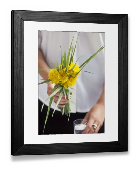 Framed Print : Bouquet of dandelions and long blades of grass held in hand before being put in tall Framed Print : Bouquet of dandelions and long blades of grass held in hand before being put in tall