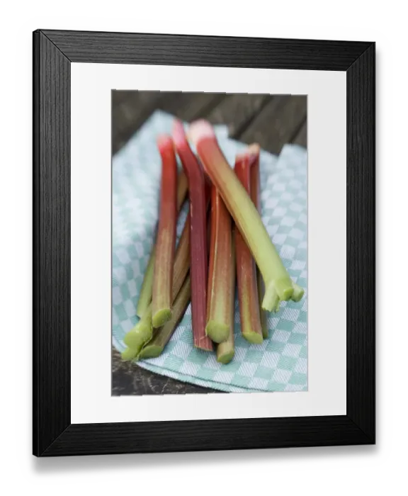 Framed Print : Freshly picked rhubarb stems on tea towel on garden table credit: Marie-Louise