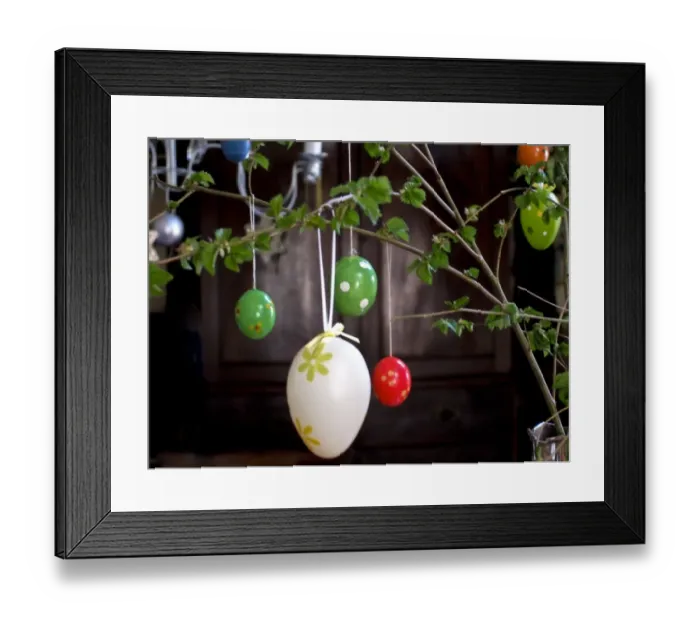 Framed Print : Birch twigs coming into leaf with Swedish Easter decorations credit: Marie-Louise Framed Print : Birch twigs coming into leaf with Swedish Easter decorations credit: Marie-Louise