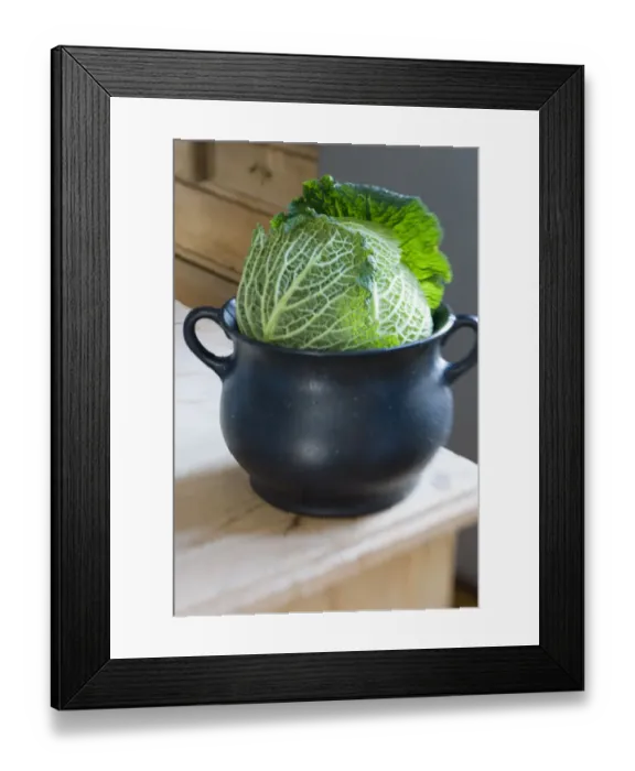 Framed Print : Cabbage sitting in iron cooking pot in kitchen credit: Marie-Louise Avery / thePictureKitchen Framed Print : Cabbage sitting in iron cooking pot in kitchen credit: Marie-Louise Avery / thePictureKitchen
