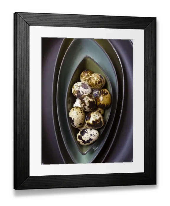 Framed Print : Quails eggs in their shells in dark green bowls stacked credit: Marie-Louise Avery Framed Print : Quails eggs in their shells in dark green bowls stacked credit: Marie-Louise Avery