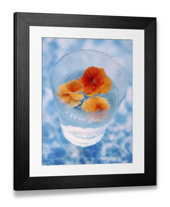 Framed Print : Orange coloured pansy heads floating in water in fine glass tumbler on mottled bue