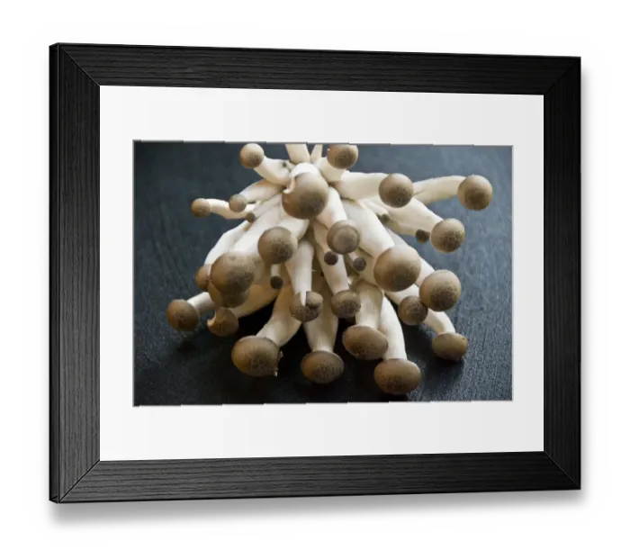 Framed Print : Exotic cultivated mushrooms - Brown Clamshell credit: Marie-Louise Avery  /  thePictureKitchen
