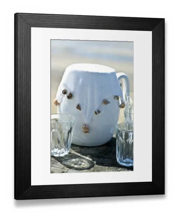 Framed Print : White jug with white fabric cover weighted with sea shells to keep insects out. credit Framed Print : White jug with white fabric cover weighted with sea shells to keep insects out. credit