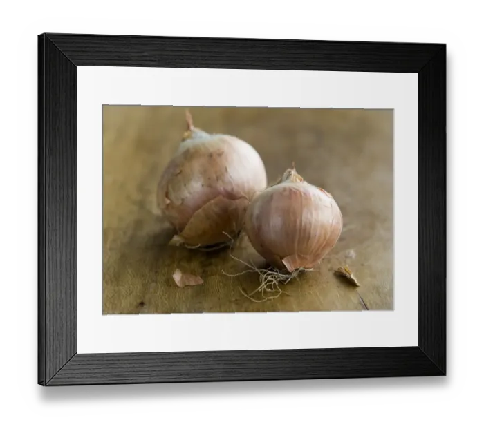 Framed Print : Two whole small onions unpeeled on wooden board credit: Marie-Louise Avery  /  thePictureKitchen
