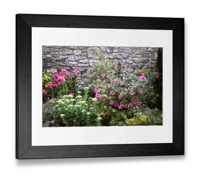Framed Print : Pretty, colourful flower border against old stone wall. credit: Marie-Louise Avery Framed Print : Pretty, colourful flower border against old stone wall. credit: Marie-Louise Avery