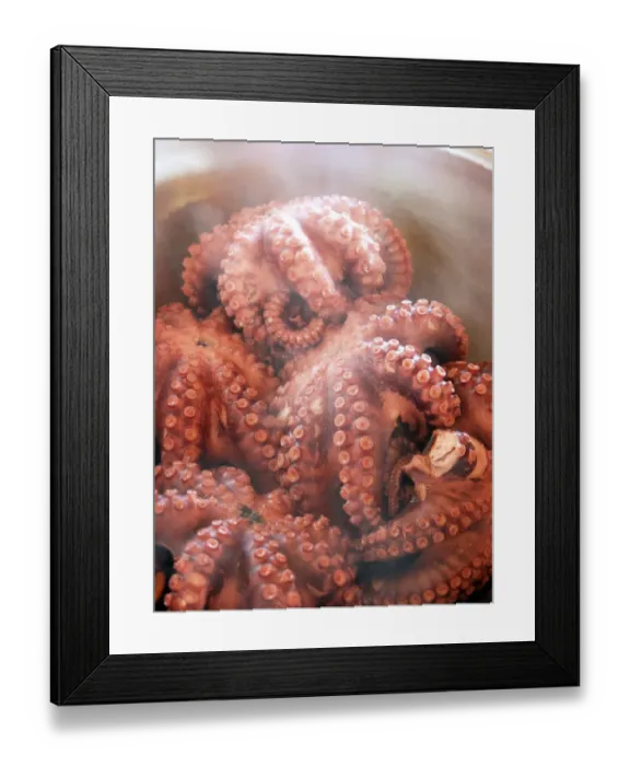 Framed Print : Steaming Italian octopus having been boiled credit: Marie-Louise Avery / thePictureKitchen Framed Print : Steaming Italian octopus having been boiled credit: Marie-Louise Avery / thePictureKitchen
