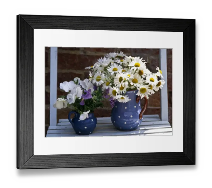 Framed Print : Daisies and pansies in spotted jug, on slatted blue chair. credit: Marie-Louise