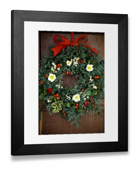 Framed Print : Evergreen christmas wreath with white christmas roses, rosehips, everlasting flowers Framed Print : Evergreen christmas wreath with white christmas roses, rosehips, everlasting flowers
