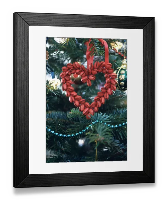 Framed Print : Christmas tee decoration of heart made of pistachio nuts painted red, hanging in Framed Print : Christmas tee decoration of heart made of pistachio nuts painted red, hanging in